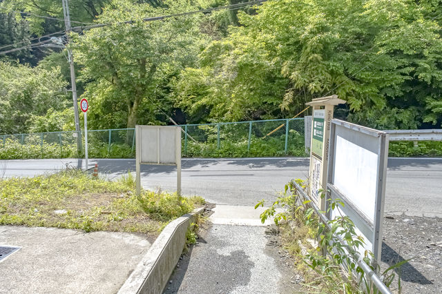 新緑の小仏バス停付近