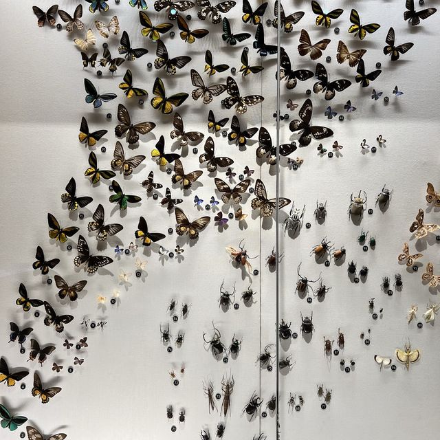Shanghai Natural History Museum