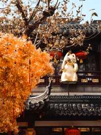 2023 Yu Garden Lantern Festival🐰🏮🇨🇳