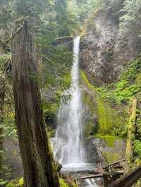 A joyful day for body and mind | Olympic Square