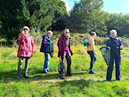 Wild Women (over 50s) Bumblebees at Ninesprings | Ninesprings Park, Addlewell Lane, Yeovil, UK