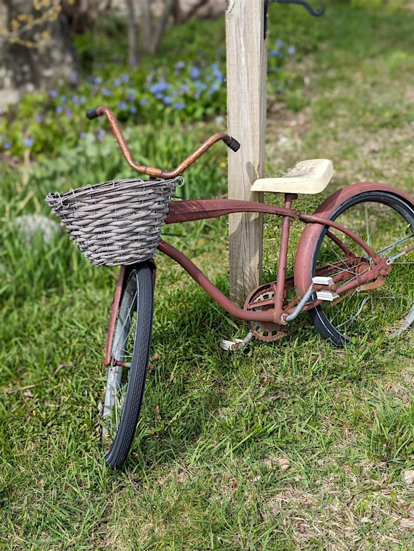 Tree ID and Natural History Tour of Oakledge Park | Oakledge Park