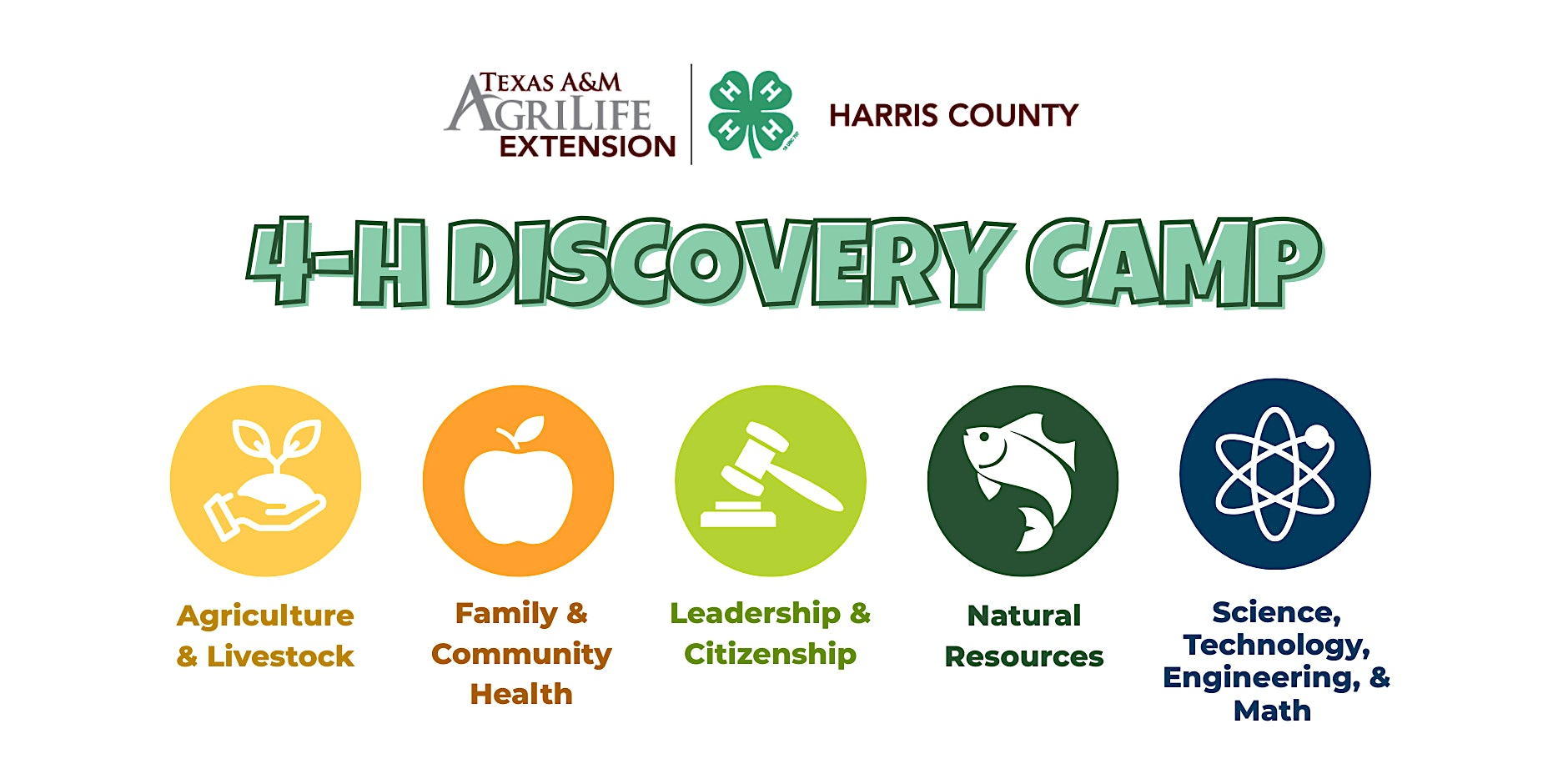 4-H Discovery Camp at Jesse H. Jones Park and Nature Center | Jesse H. Jones Park & Nature Center