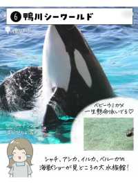 千葉県で外せないスポット7選