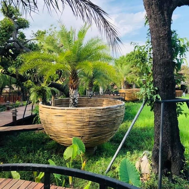 คาเฟ่บ้านสวนปลายตะวัน