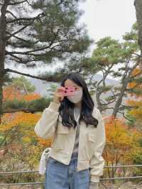 가을 단풍 맛집 :: 화담숲🍂🤍