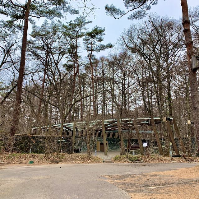 【長野】軽井沢星野エリアの「石の教会」