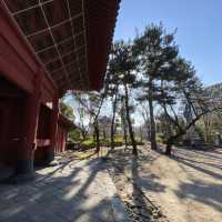 増上寺・三解脱門