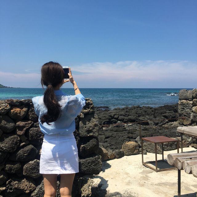 협재해수욕장 2분거리 뷰좋은카페 협재식물원
