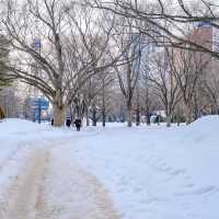 冬の札幌大通り公園の雪道散策