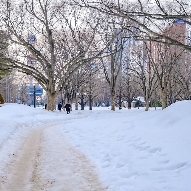冬の札幌大通り公園の雪道散策