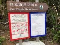 鶴咀行山路線🌊新手必睇👍🏻
