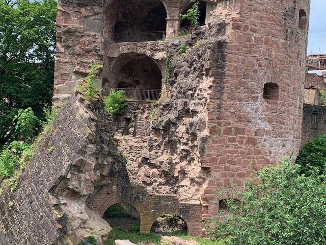 Schloss Heidelberg (Heidelberg Castle) 🏰 