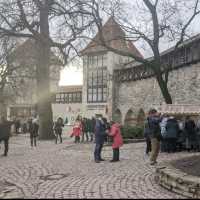 Exploring the birthplace of the Danish flag