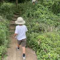 水遊びできる公園ならここ三ツ池公園