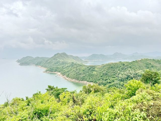 高棚頂