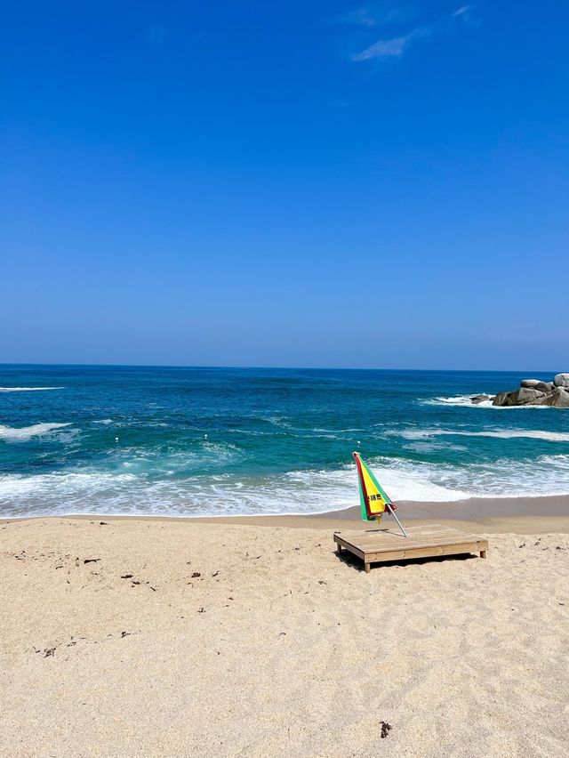 푸른바다가 매력적인 강릉 사천해변🌊