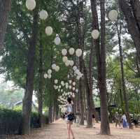 초록초록 춘천 남이섬🌿