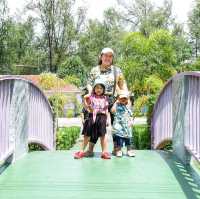 พาครอบครัวไปดูเต่าทะเล