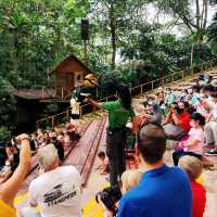 Jurong Bird Park