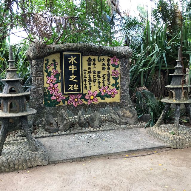 沖縄県石垣島 由布島水牛