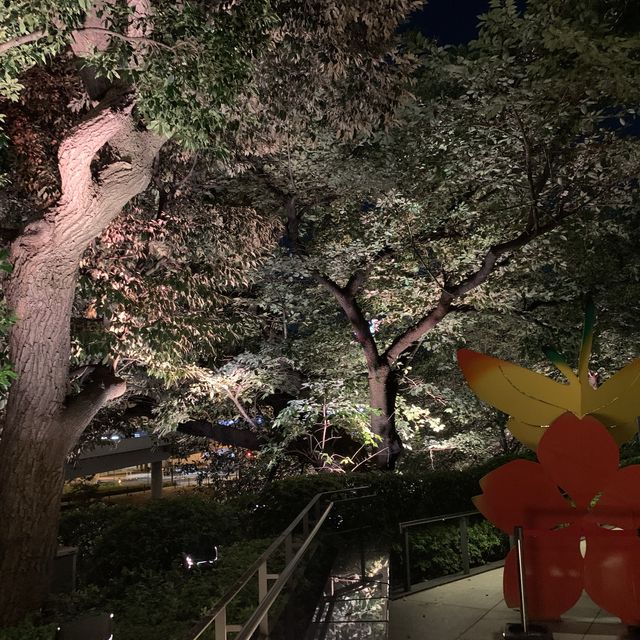 弁慶堀と東京ガーデンテラスのライトアップ🌃
