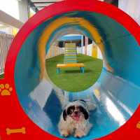 Paw Park @ SM City Clark