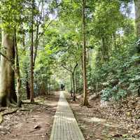 Exploring out the Eco park in Kuala Lumpur