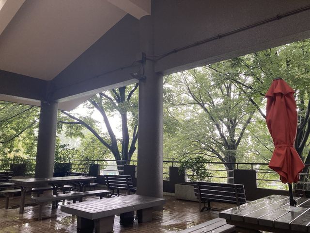 代々木公園の休憩スポット