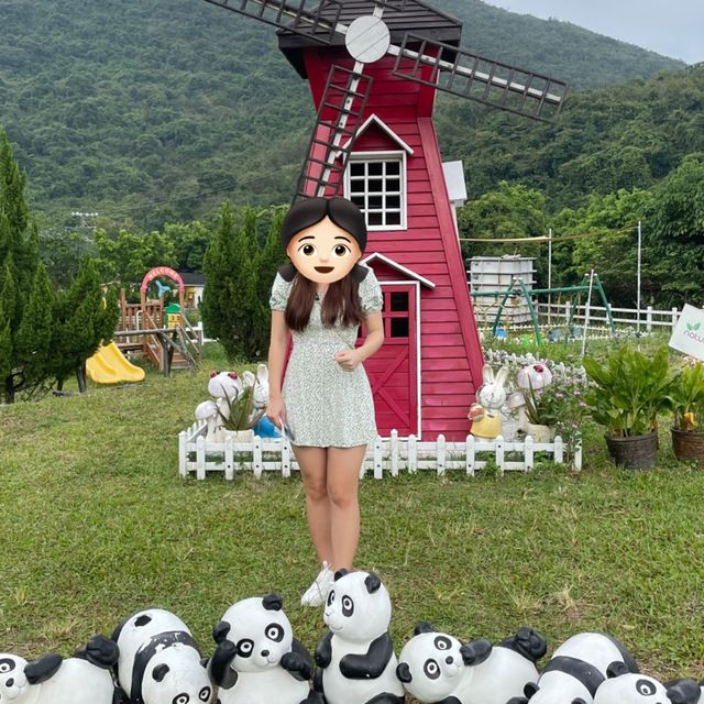 香港🇭🇰隠世清新地🫁一家大細情侶💑農場小體驗