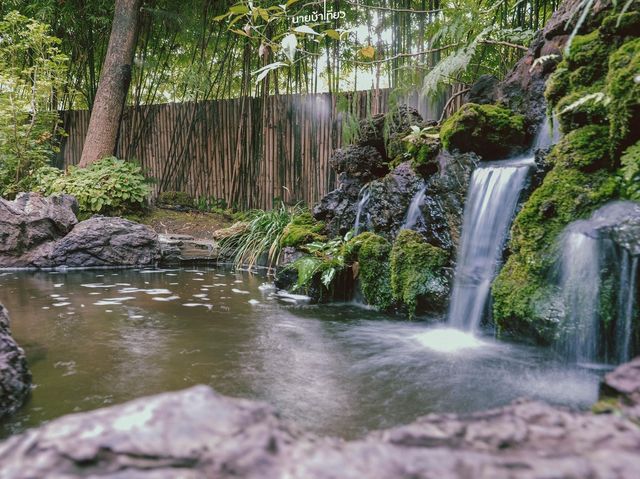 Magokoro Teahouse เชียงใหม่
