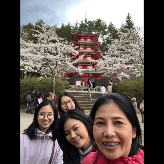 พามาชิลชมวิวสวยที่… เจดีย์แดง Chureito Pagoda กัน