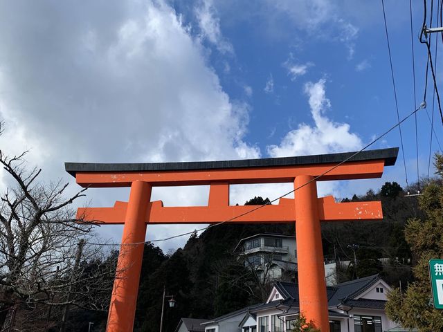 The city overlooking Mt Fuji!