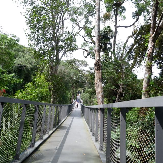 Close to Nature