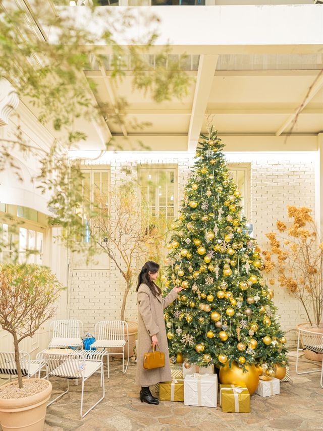 하루만에 다녀올 수 있는 압구정 트리 카페 TOP3🎄