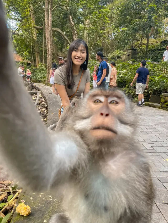 峇里 | ubud必去monkey forest 同馬騮自拍🐒