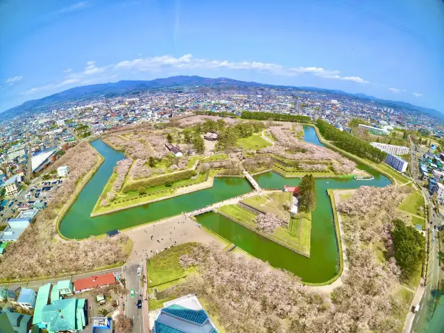 【北海道旅行】北海道で桜を満喫！！