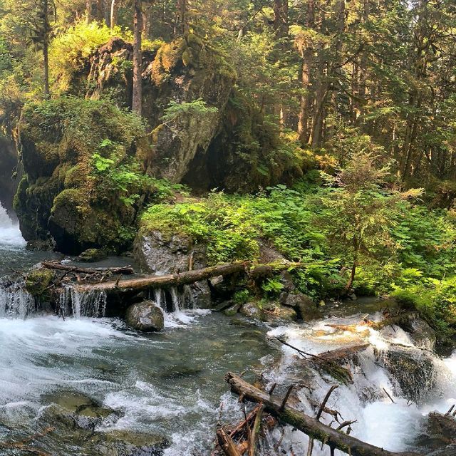 Girdwood Forest Fair