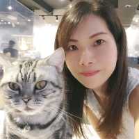 【觀塘工廈中發現有貓貓🐱Cafe】
