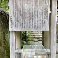白雲洞茶苑