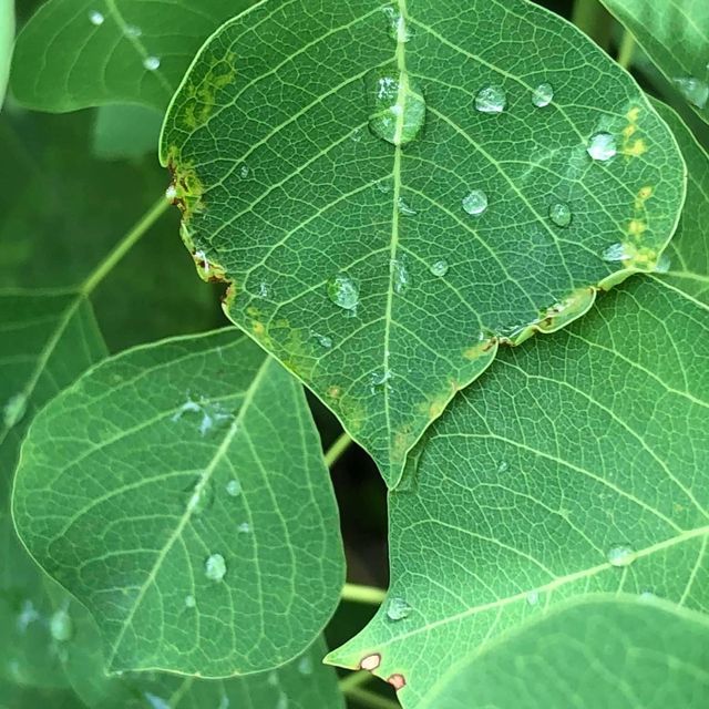 週末放風好去處🤩塔門之旅