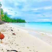 Mermaid Island Mantanani Island, Sabah