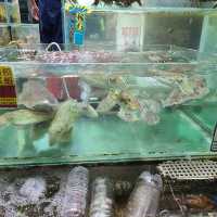 食海鮮都係係西貢