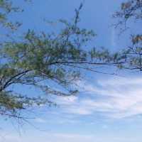 หาดแสงจันทร์