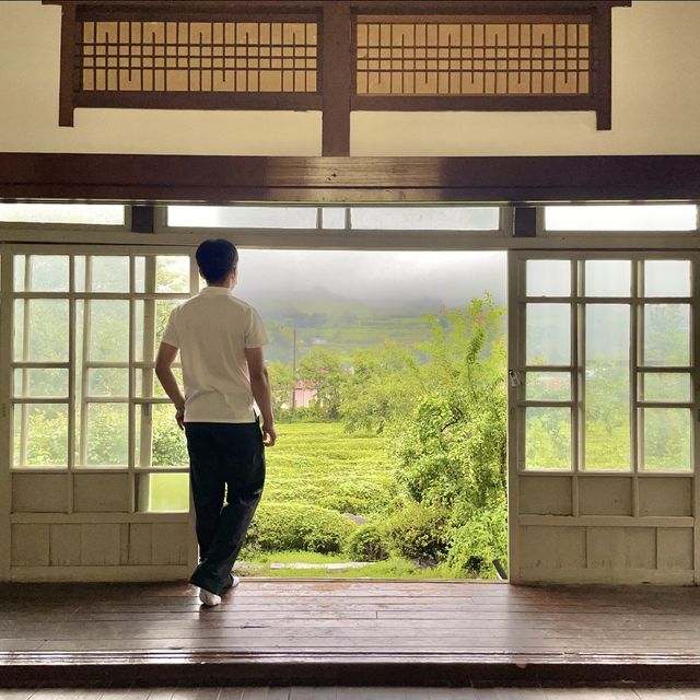 [하동]매암차박물관 다녀온 후기🧚🏻‍♂️