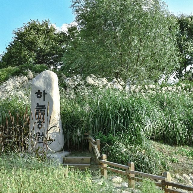 서울 피크닉 성지 중 한 곳인 하늘공원