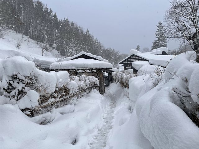 【秋田】THE秘湯♨️乳頭温泉郷「鶴の湯」