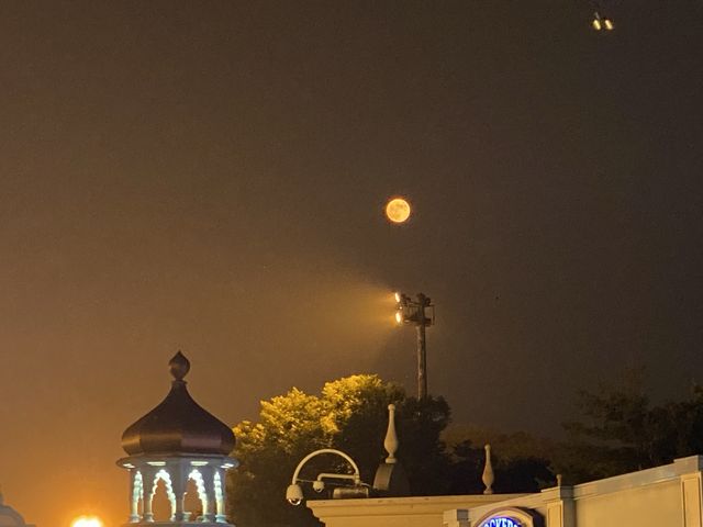 [경기도 용인시] 환상의 나라 에버랜드🎠
