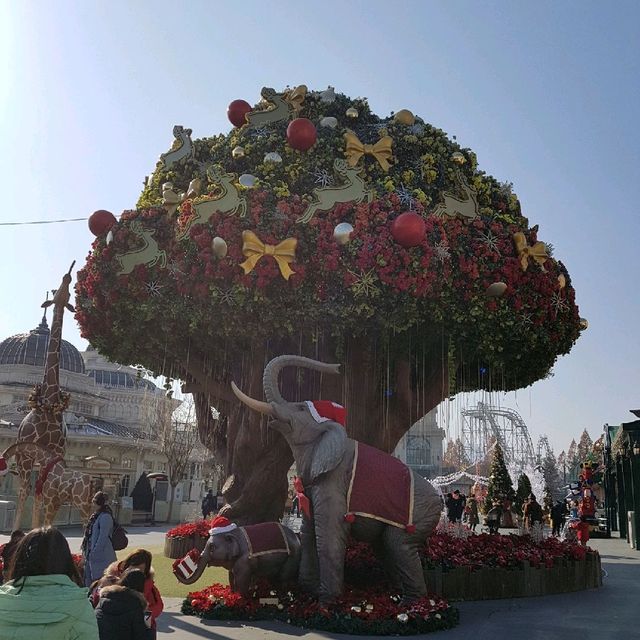 The wonderful everland theme park in Seoul