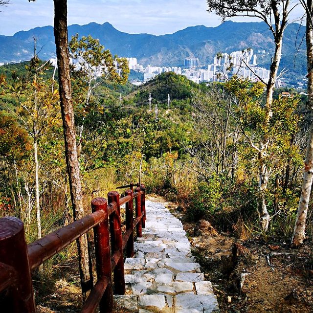 針山